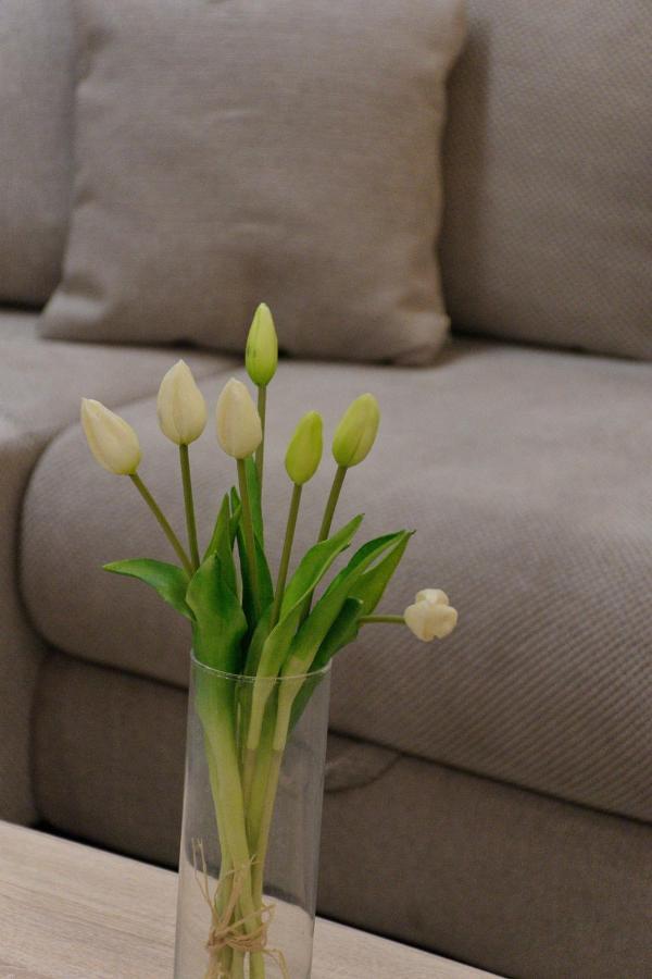 Apartment Anna - Free Pickup From Or Dropoff To Zagreb Airport At Any Time, Please Give Three Days Advance Notice - Long-Term Parking With Airport Transport Possibility Velika Gorica Eksteriør bilde